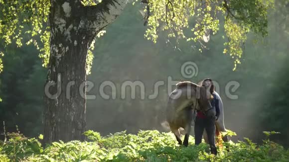 清晨一个骑着马在树林里散步的女孩在黎明的光线下挨着一棵美丽的树视频的预览图