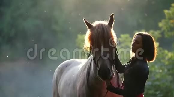 女孩拥抱着马她试图让她平静下来在美丽的森林的背景下在早晨的阳光下视频的预览图