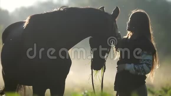 美丽的女孩长发在阳光下抚摸着马视频的预览图