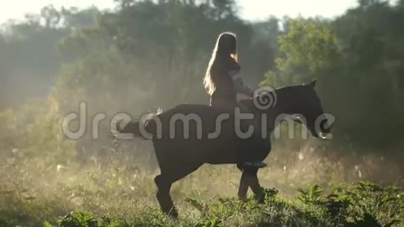 拂晓时留着长发的女骑手骑着马骑在靠近森林的绿色边缘视频的预览图