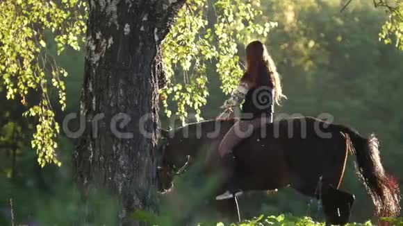 清晨留着长发的女孩骑着马在阳光下绕着树走视频的预览图