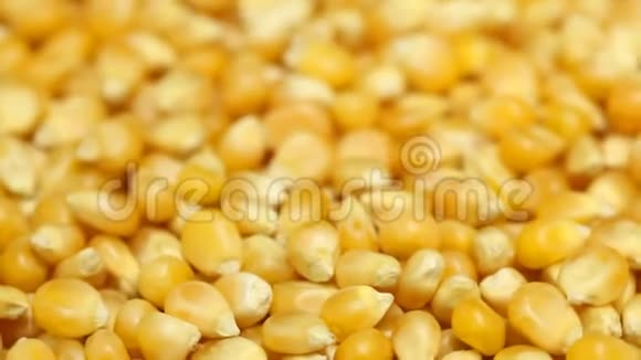 印度玉米粒的特写视频的预览图