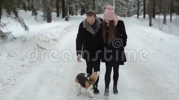 年轻漂亮的家庭在冬天的森林里和一只狗玩男人和女人在森林里和比格一起散步视频的预览图