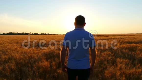 一位年轻的准农民在日落的背景下缓慢地走着麦田的概念视频的预览图