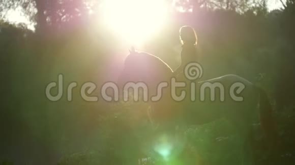 清晨骑在马背上的女骑手站在阳光下的树林里疯狂美丽的夏天视频的预览图