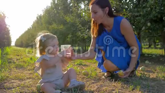 小女孩在水果季的果园里从坐在草地上的妈妈手里拿着一杯矿泉水视频的预览图