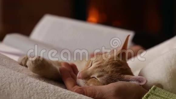 女人的手在壁炉边看书抱着她熟睡的小猫视频的预览图