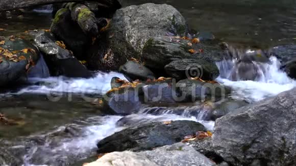 溪流中带落叶的岩石上的水流视频的预览图