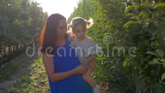 园艺微笑的农村妇女与蹒跚学步的女孩抱着在水果园收集苹果在收获季节视频的预览图