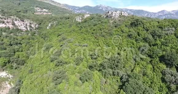 飞越森林覆盖的群山视频的预览图
