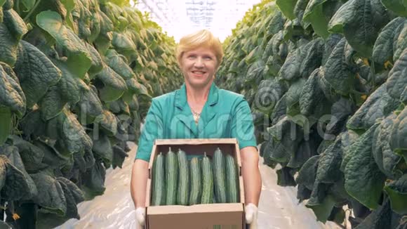 一个带黄瓜的微笑农民的肖像特写视频的预览图