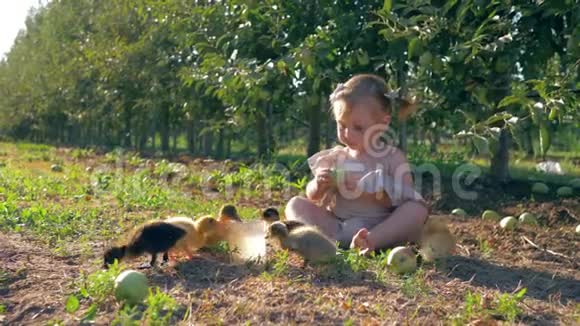 农村的童年快乐的孩子在秋天收获的时候在花园里玩小油菜视频的预览图