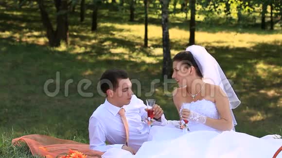 新娘野餐视频的预览图