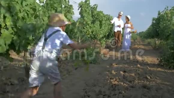 收获时农村孩子帮助家长收集葡萄并在秋天把篮子放在种植园里视频的预览图