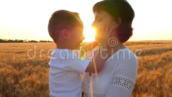 一个快乐的母亲抱着一个孩子在日落背景下的麦田里宝宝和妈妈在接吻视频的预览图