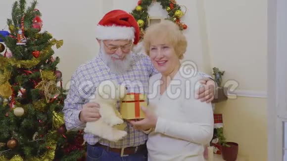 快乐的老夫妇在圣诞树附近玩礼物和白色玩具熊视频的预览图
