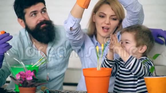 男孩拍着手掌高兴地看到他和他的父母把花放在彩色的花盆里概念视频的预览图
