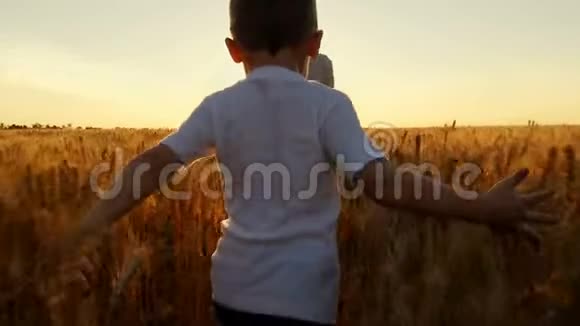 孩子和他的母亲绕着麦田慢悠悠地向日落奔去视频的预览图