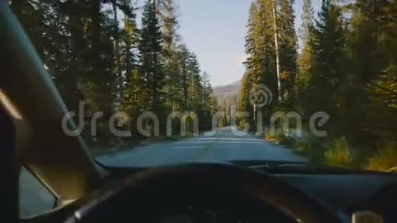 美丽的景色从汽车方向盘驾驶沿山林路在约塞米蒂国家公园树林慢动作视频的预览图