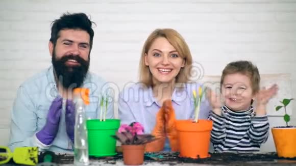 父亲母亲和儿子正在手掌中拍手看着摄像机旁边的花盆里面放着刚开过的花视频的预览图
