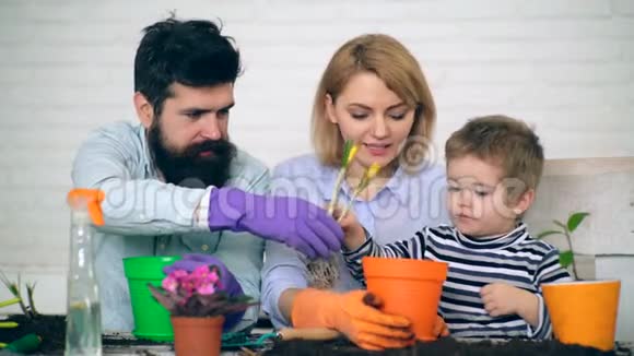 男孩手里拿着花倒在地上幼苗的概念男孩帮助父母种植视频的预览图