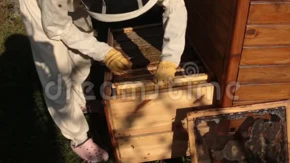 一个穿着白色防护服的女养蜂人拿出一个木架上面有蜜蜂从蜂巢爬出来视频的预览图