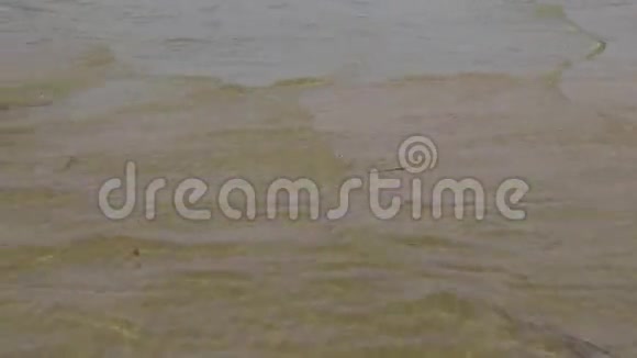 湖面上的波浪视频的预览图
