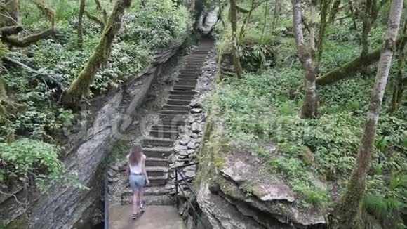 女孩在雨林里爬楼梯视频的预览图