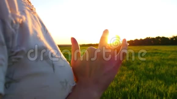 一个女孩手里拿着一部智能手机在一片绿色草坪上的夕阳背景下她慢动作着视频的预览图