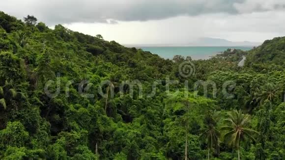 在热带岛屿上空盘旋灰色多云的天空绿色的手掌在苏梅岛潮湿的季节在泰国无人机视图视频的预览图