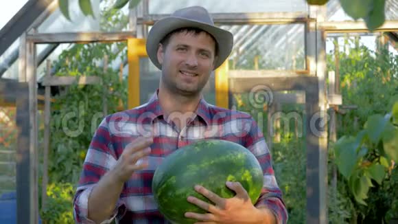 花园温室背景下农民持熟西瓜的肖像视频的预览图
