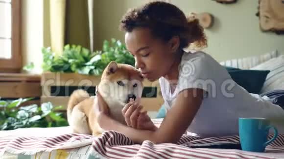 快乐的女学生正在喂她的小狗在家里的床上抚摸它而动物在咀嚼舔它视频的预览图