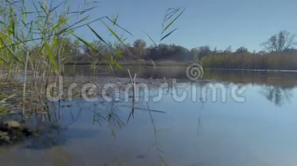秋季保护区的水运动视频的预览图