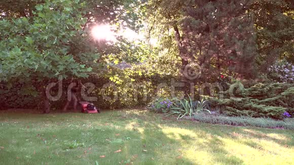 年轻女子在院子里美丽的傍晚阳光下割草4K视频的预览图