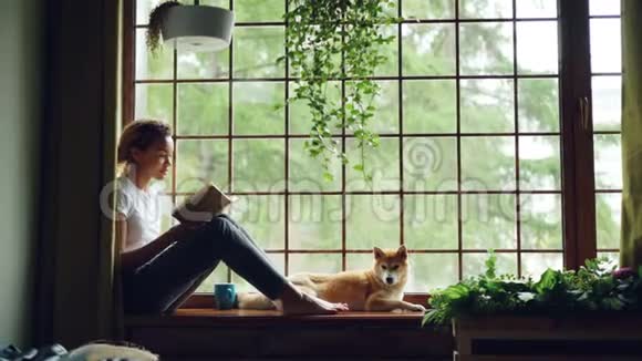 迷人的年轻女士正和可爱的小狗坐在房子的窗台上看书大窗户视频的预览图
