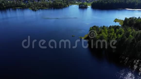 夏日登陆湖水绿茵森林视频的预览图