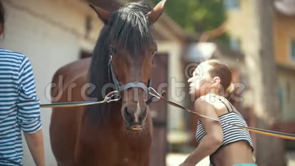 在一个阳光明媚的日子里年轻的女人在动物农场用水清洗一匹马视频的预览图