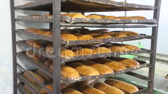 面包店的新鲜面包视频的预览图