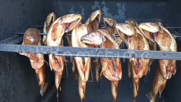 新鲜熏鱼鳟鱼在烤箱里烟屋视频的预览图