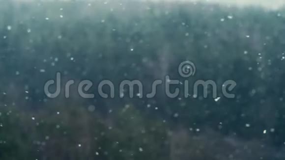 12月的降雪在森林的背景上大片飘落视频的预览图