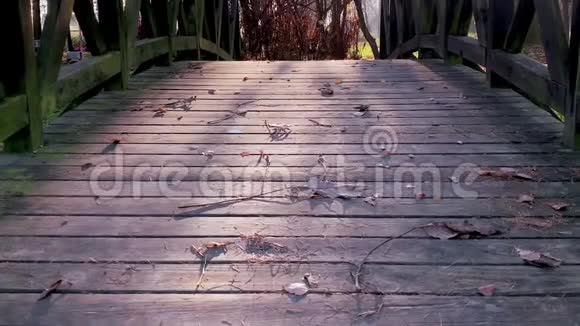 秋天公园的木桥视频的预览图