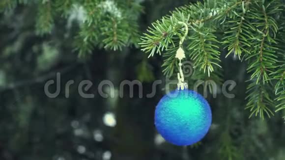 雪杉树上挂着蓝色的圣诞彩铃视频的预览图