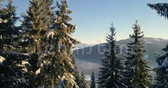 在冬天的仙境里探险视频的预览图