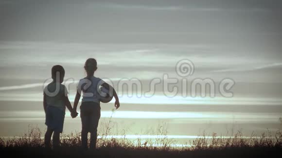 两个快乐的孩子在草地上玩耍日落夏天视频的预览图