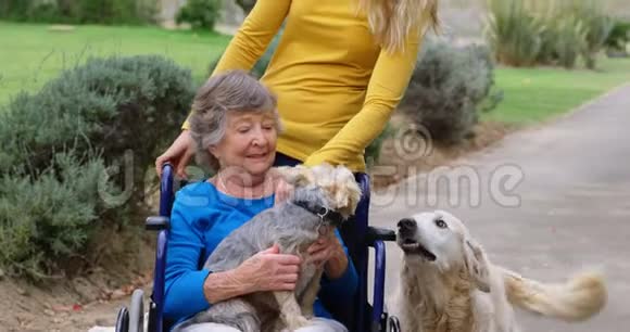 年长的女人和年轻的女孩和他们的狗玩得很开心视频的预览图