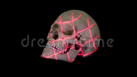 旋转网格人体颅骨模型三维扫描视频的预览图