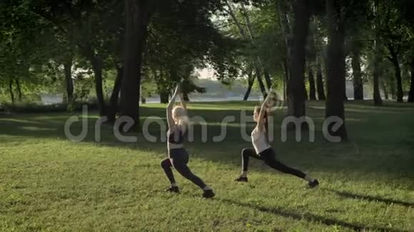 两位年轻女性早上在河边公园做瑜伽镜头耀斑和美丽的景色背景视频的预览图