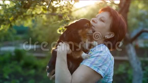 太太抱着一只小狗视频的预览图