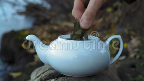 特写男士手把绿茶放在白瓷茶壶里视频的预览图