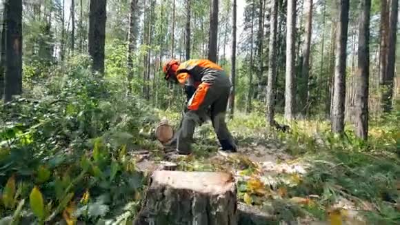 林伯曼正在森林里砍树视频的预览图